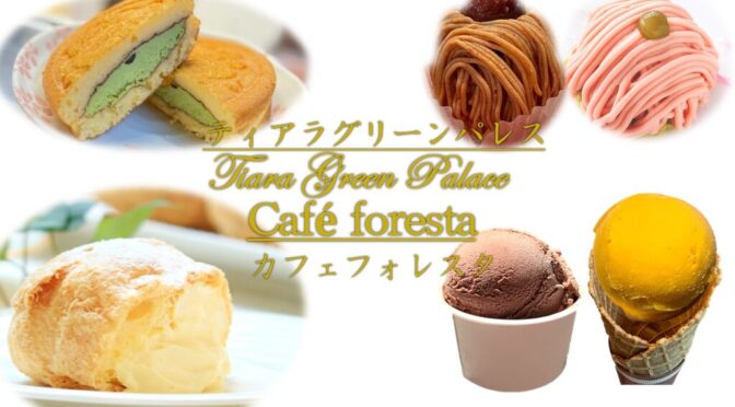 新料理メニューの写真撮りを行いまして、内容を先行公開します。お楽しみに！カフェフォレスタ
